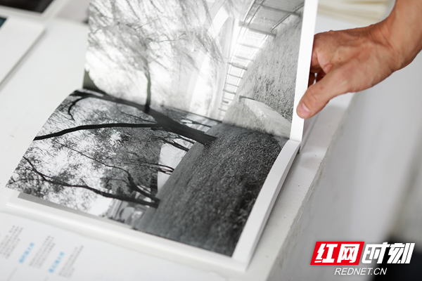 圖片5.png 圖片5.png