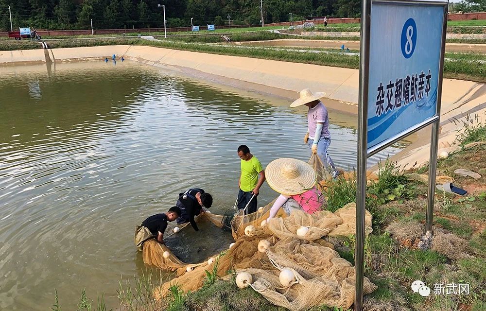 微信圖片_20210515001356.jpg