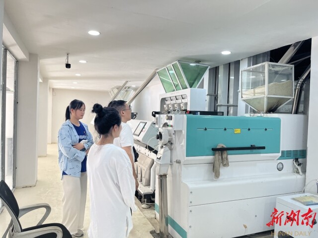湖南師大暑期實踐團情系綏寧：多維度助力鄉村振興